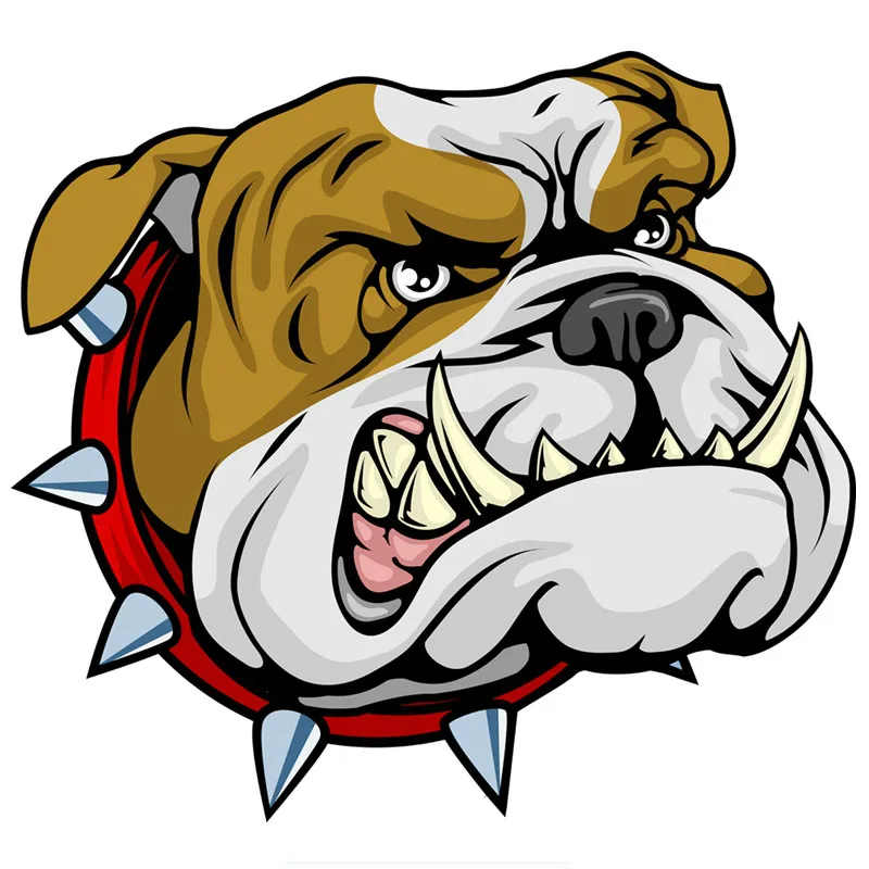 Nowy projekt Gorący bubel Supe – Pet Portrait Custom recenzja i cena